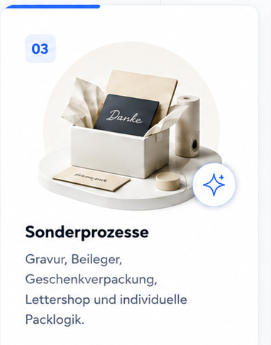 Sonderprozesse mit Geschenkverpackung, Beileger und Verpackungsmaterial